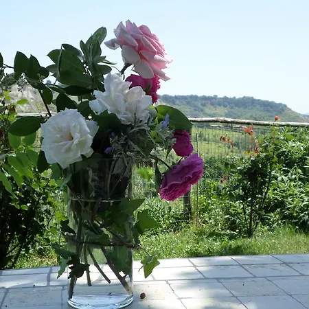 Agriturismo Il Meleto