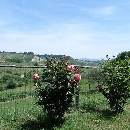 Agriturismo Il Meleto Bagnoregio