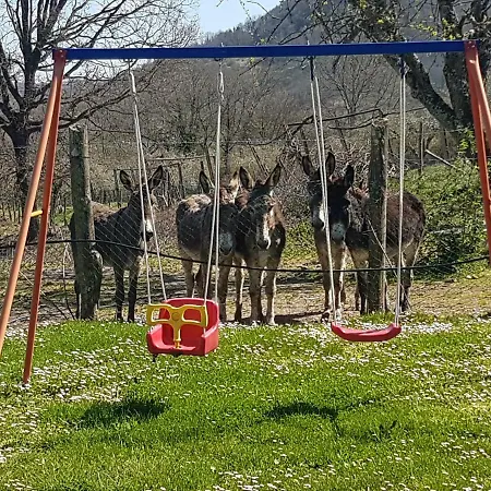 Agriturismo Il Meleto Lantgård