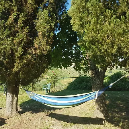 Agriturismo Il Meleto Bagnoregio